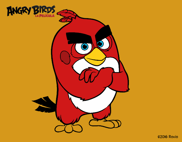 Red de Angry Birds