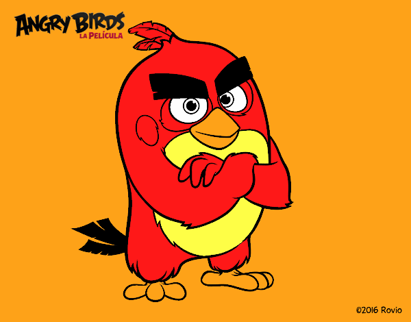 Red de Angry Birds