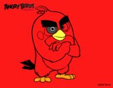 Red de Angry Birds