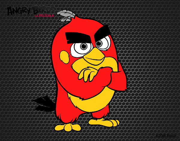 Red de Angry Birds