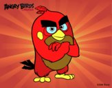 Red de Angry Birds