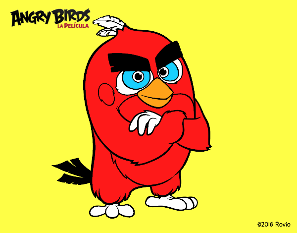 Red de Angry Birds