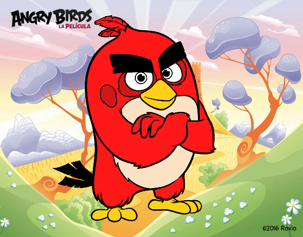 Red de Angry Birds