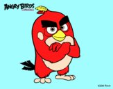 Red de Angry Birds