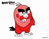 Red de Angry Birds