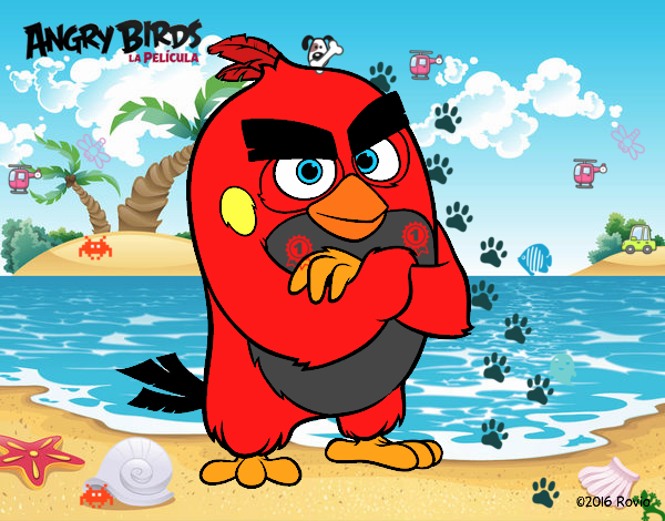 Red de Angry Birds