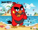 Red de Angry Birds