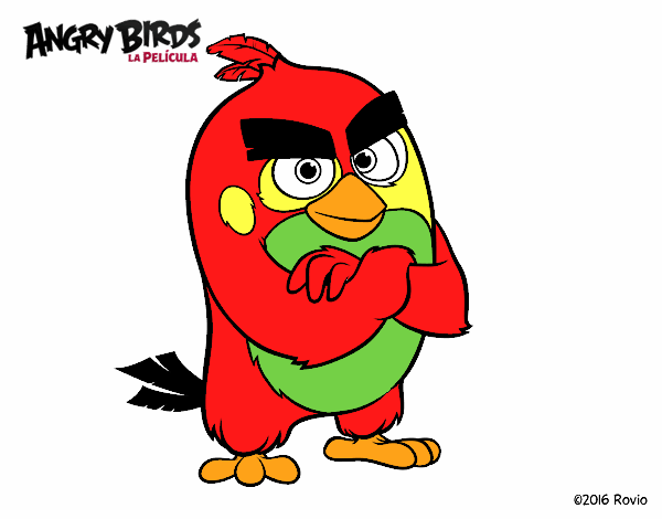 Red de Angry Birds