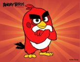 Red de Angry Birds