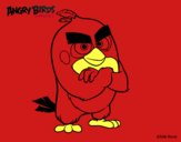 Red de Angry Birds