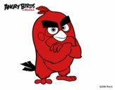 Red de Angry Birds