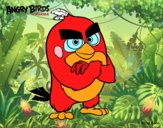 Red de Angry Birds