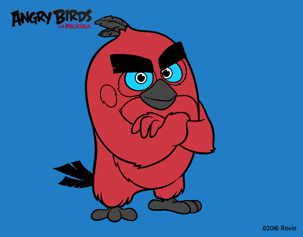 Red de Angry Birds