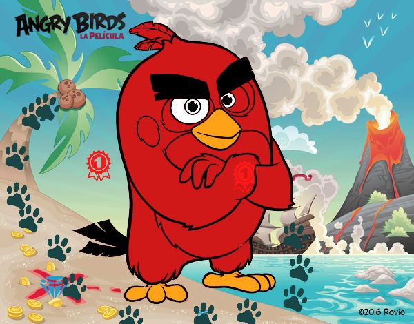 Red de Angry Birds