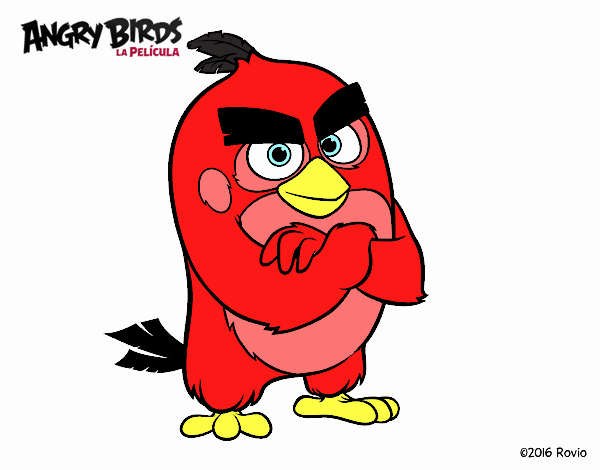 Red de Angry Birds