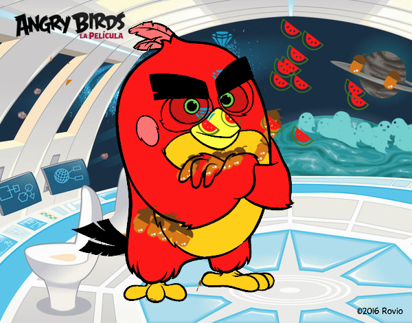 Red de Angry Birds