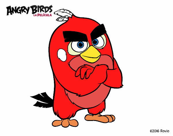 Red de Angry Birds