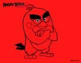 Red de Angry Birds