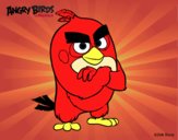 Red de Angry Birds