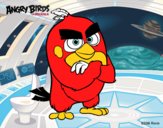 Red de Angry Birds