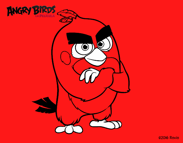 Red de Angry Birds