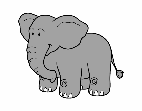 elefante de Jhonatan