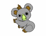 Un Koala