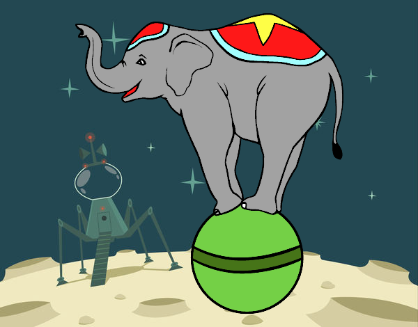 Elefante equilibrista