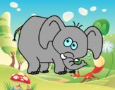 Elefante vergonzoso