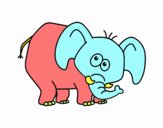 Elefante vergonzoso