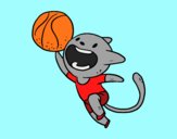 Gato jugando a baloncesto