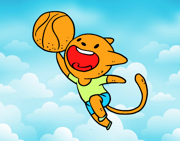 Gato jugando a baloncesto