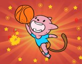 Gato jugando a baloncesto