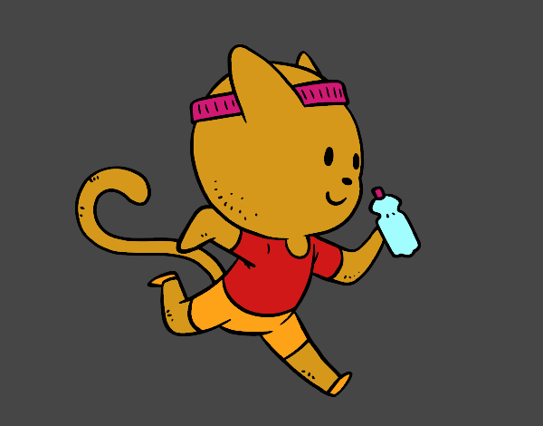 Gato runner