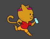 Gato runner