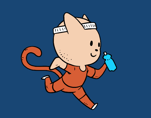 Gato runner