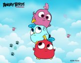 Dibujo Las crias de Angry Birds pintado por happyforev