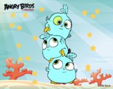 Las crias de Angry Birds