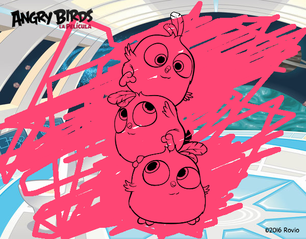 Las crias de Angry Birds