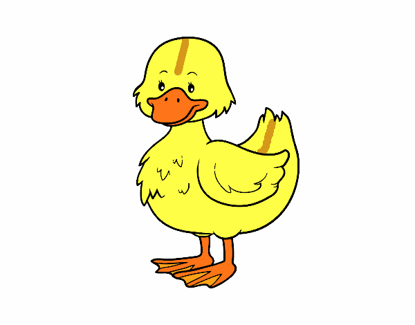 patito