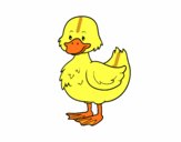 Patito de granja