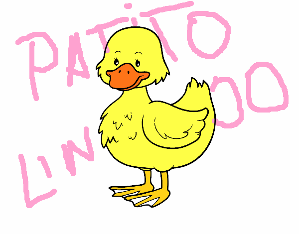 Patito de granja