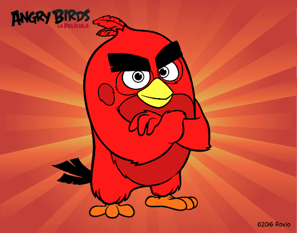 Red de Angry Birds