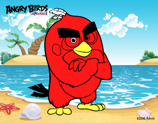 Red de Angry Birds