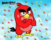 Red de Angry Birds