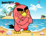 Red de Angry Birds