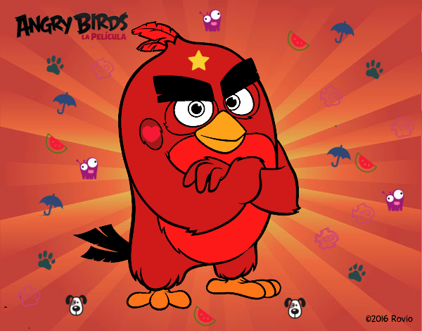 Red de Angry Birds