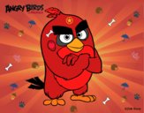 Red de Angry Birds