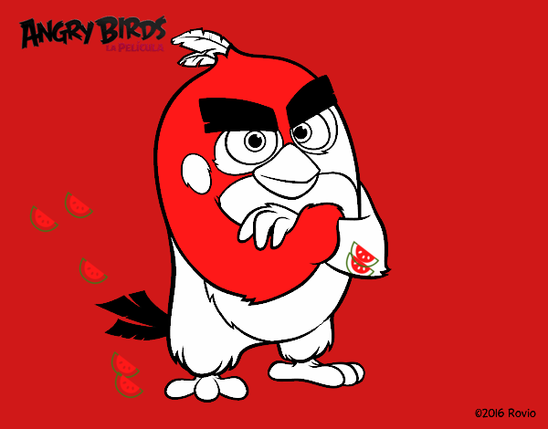 Red de Angry Birds