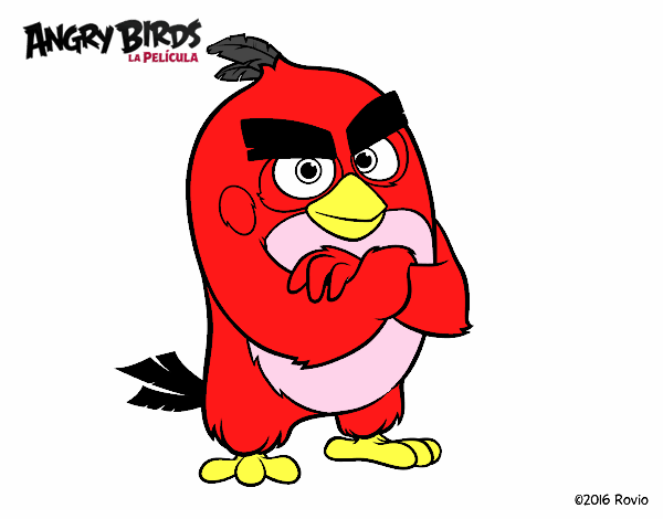 Red de Angry Birds